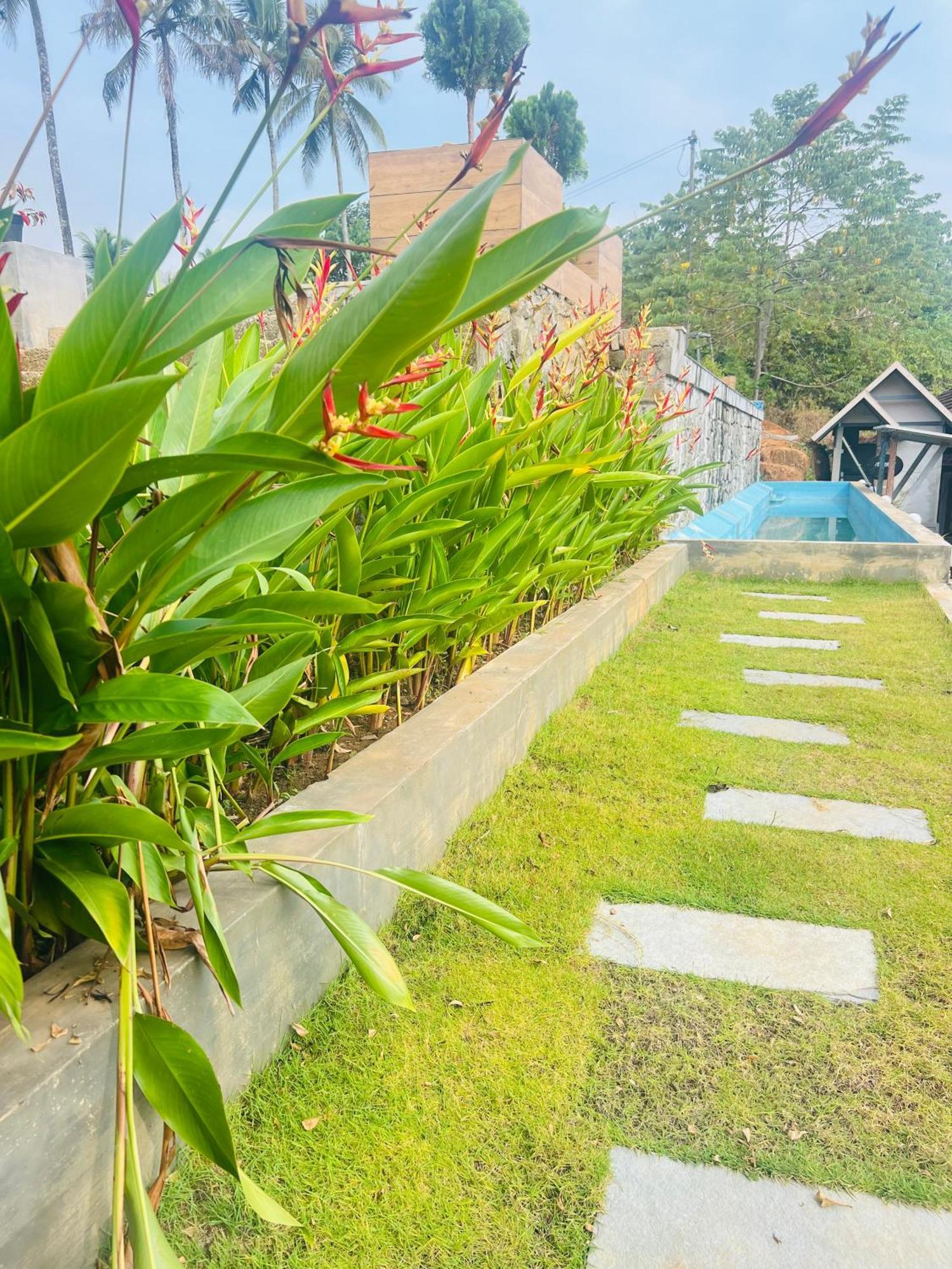 Coconut Valley Neriyamangalam ภายนอก รูปภาพ